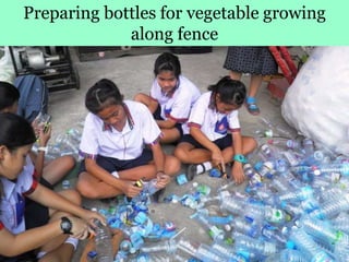 Preparing bottles for vegetable growing
along fence
 