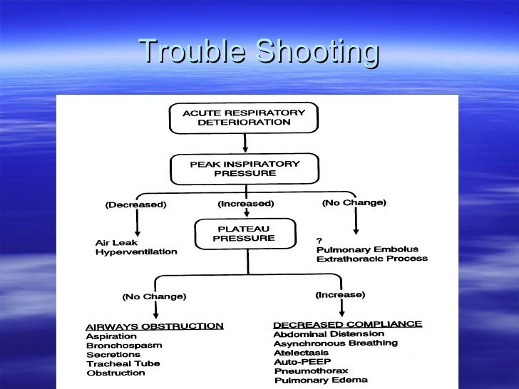Mechanical Ventilation (2)