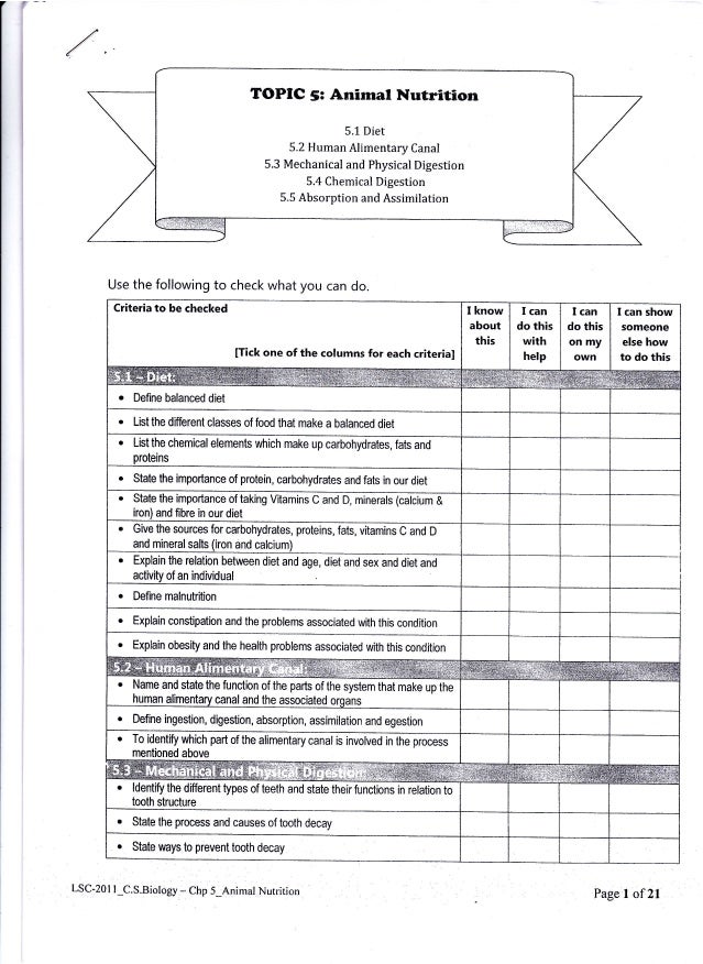 activity 1 chemical digestion Name:_____ ex 39b: chemical and physical processes of digestion: computer simulation data sheet ziser, 2001 activity 1`: assessing animal starch digestion by salivary amylase. activity 1 chemical digestion Name:_____ ex 39b: chemical and physical processes of digestion: computer simulation data sheet ziser, 2001 activity 1`: assessing animal starch digestion by salivary amylase.