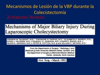 Mecanismos de Lesión de la VBP durante la
Colecistectomía
2) Aspectos Técnicos:

 