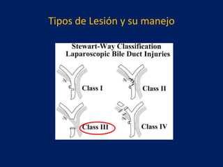 Tipos de Lesión y su manejo

 