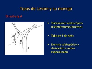 Tipos de Lesión y su manejo
Strasberg A
• Tratamiento endoscópico
(Esfinterotomía/prótesis)
• Tubo en T de Kehr.
• Drenaje subhepático y
derivación a centro
especializado.

 