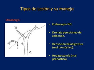 Tipos de Lesión y su manejo
Strasberg C
• Endoscopia NO.

• Drenaje percutáneo de
colección.
• Derivación biliodigestiva
(mal pronóstico).
• Hepatectomía (mal
pronóstico).

 
