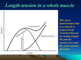 Mechanical behavior of Skeletal Muscle.ppt