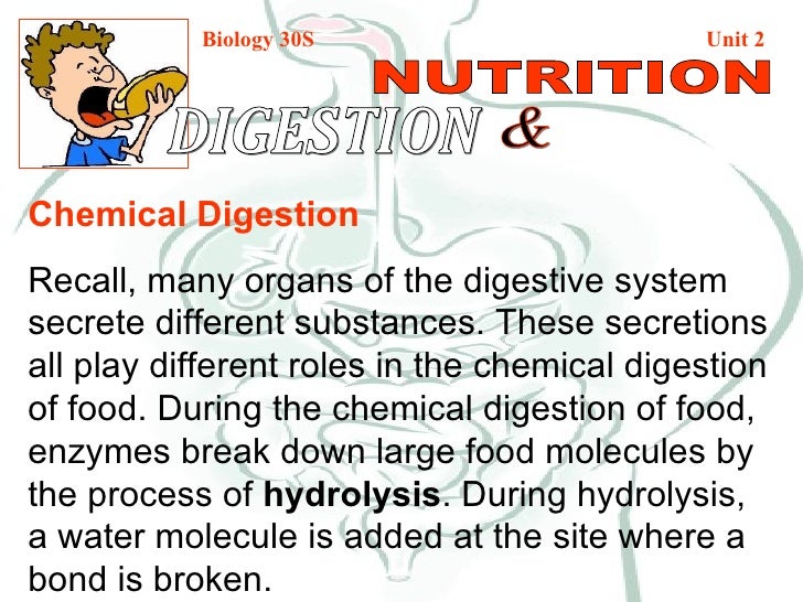 Is digestion a chemical or physical change?