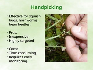 Insect Hand Picking Mechanical Control for pest and weed management | PPTX