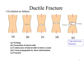 Ductile Fracture
6
• Evolution to failure:
(a) (b) (c) (d) (e)
(a) Necking
(b) Formation of microvoids
(c) Coalescence of microvoids to form a crack
(d) Crack propagation by shear deformation
(e) Fracture
Cup and cone
fracture
 