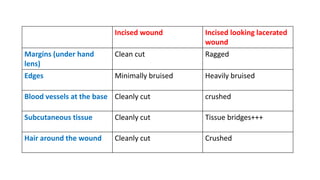 Incised wound Incised looking lacerated
wound
Margins (under hand
lens)
Clean cut Ragged
Edges Minimally bruised Heavily bruised
Blood vessels at the base Cleanly cut crushed
Subcutaneous tissue Cleanly cut Tissue bridges+++
Hair around the wound Cleanly cut Crushed
 