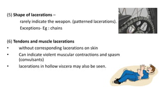 (5) Shape of lacerations –
rarely indicate the weapon. (patterned lacerations).
Exceptions- Eg : chains
(6) Tendons and muscle lacerations
• without corresponding lacerations on skin
• Can indicate violent muscular contractions and spasm
(convulsants)
• lacerations in hollow viscera may also be seen.
 