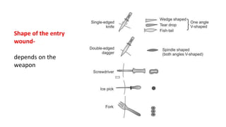 Shape of the entry
wound-
depends on the
weapon
 