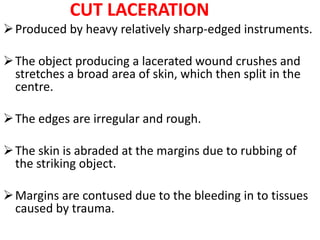 CUT LACERATION
Produced by heavy relatively sharp-edged instruments.
The object producing a lacerated wound crushes and
stretches a broad area of skin, which then split in the
centre.
The edges are irregular and rough.
The skin is abraded at the margins due to rubbing of
the striking object.
Margins are contused due to the bleeding in to tissues
caused by trauma.
 