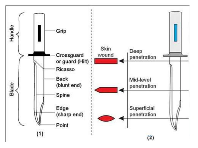 Mechanical injuries(ICS) due to sharp force.ppt