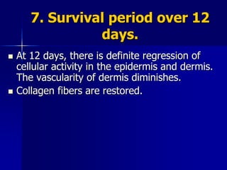 7. Survival period over 12
days.
 At 12 days, there is definite regression of
cellular activity in the epidermis and dermis.
The vascularity of dermis diminishes.
 Collagen fibers are restored.
 