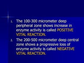 1. The 100-300 micrometer deep
peripheral zone shows increase in
enzyme activity is called POSITIVE
VITAL REACTION.
2. The 200-500 micrometer deep central
zone shows a progressive loss of
enzyme activity is called NEGATIVE
VITAL REACTION.
 