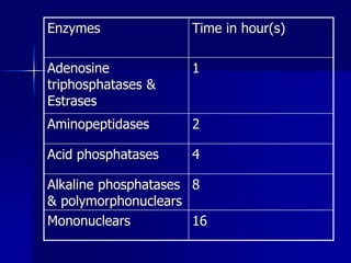 Enzymes Time in hour(s)
Adenosine
triphosphatases &
Estrases
1
Aminopeptidases 2
Acid phosphatases 4
Alkaline phosphatases
& polymorphonuclears
8
Mononuclears 16
 