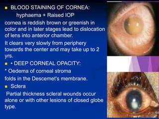  BLOOD STAINING OF CORNEA:
hyphaema + Raised IOP
cornea is reddish brown or greenish in
color and in later stages lead to dislocation
of lens into anterior chamber.
It clears very slowly from periphery
towards the center and may take up to 2
yrs.
 • DEEP CORNEAL OPACITY:
* Oedema of corneal stroma
folds in the Descemet's membrane.
 Sclera
Partial thickness scleral wounds occur
alone or with other lesions of closed globe
type.
 