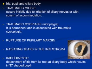  Iris, pupil and ciliary body
• TRAUMATIC MIOSIS:
occurs initially due to irritation of ciliary nerves or with
spasm of accommodation.
• TRAUMATIC MYDRIASIS (iridoplegia):
It is permanent and is associated with traumatic
cycloplegia.
• RUPTURE OF PUPILARY MARGIN
• RADIATING TEARS IN THE IRIS STROMA
• IRIDODIALYSIS:
detachment of iris from its root at ciliary body which results
in 'D' shaped pupil
 