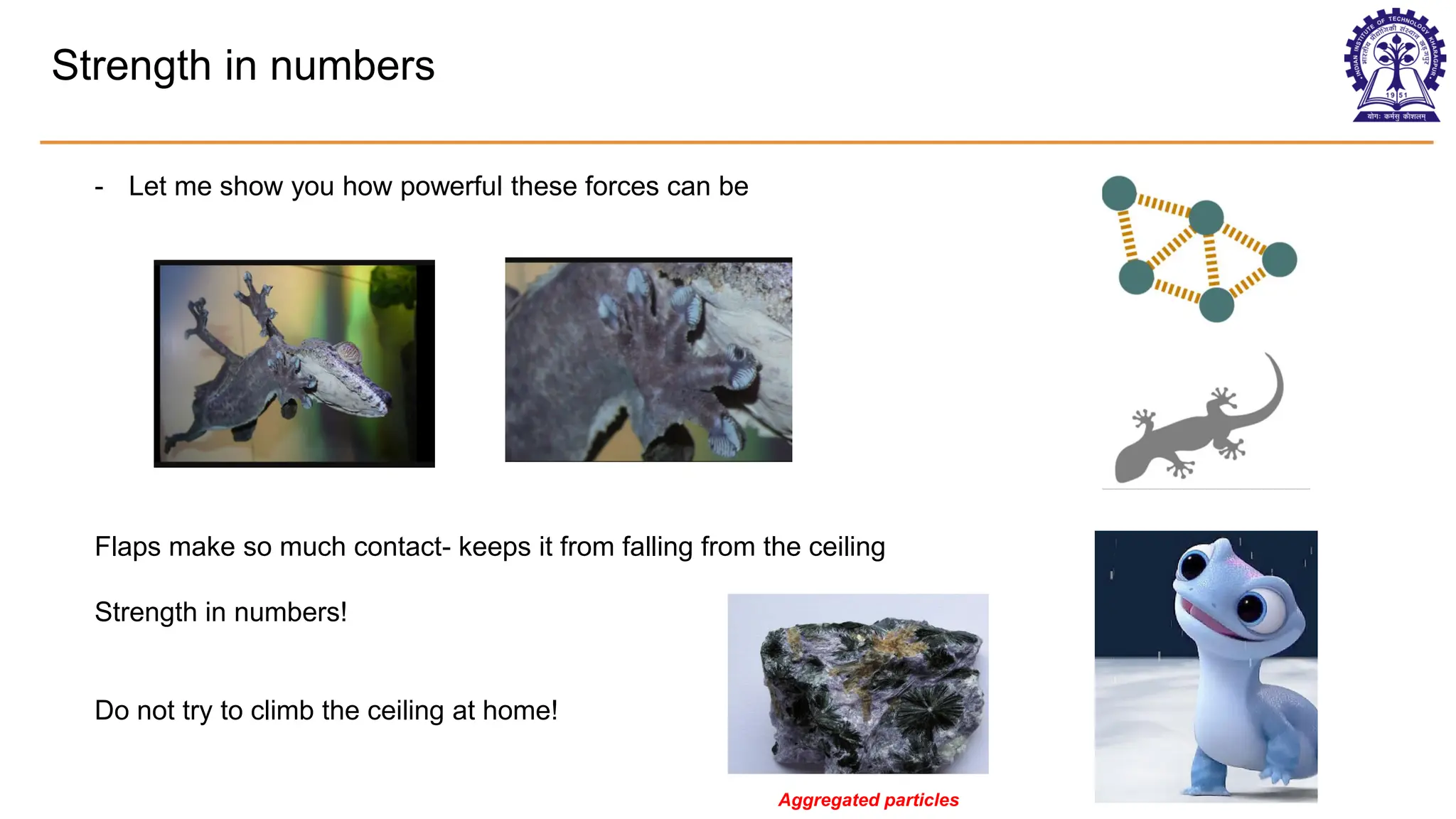 Strength in numbers
- Let me show you how powerful these forces can be
Flaps make so much contact- keeps it from falling from the ceiling
Strength in numbers!
Do not try to climb the ceiling at home!
Aggregated particles
 