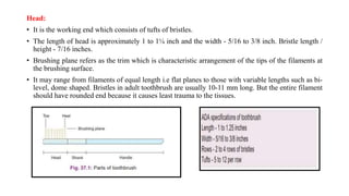 Head:
• It is the working end which consists of tufts of bristles.
• The length of head is approximately 1 to 1¼ inch and the width - 5/16 to 3/8 inch. Bristle length /
height - 7/16 inches.
• Brushing plane refers as the trim which is characteristic arrangement of the tips of the filaments at
the brushing surface.
• It may range from filaments of equal length i.e flat planes to those with variable lengths such as bi-
level, dome shaped. Bristles in adult toothbrush are usually 10-11 mm long. But the entire filament
should have rounded end because it causes least trauma to the tissues.
 