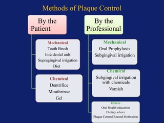 Comprehensive Guide to Plaque Control and Oral Hygiene Techniques | PPTX