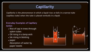 Mechanical Properties of Fluids (Prashant Kirad).pptx