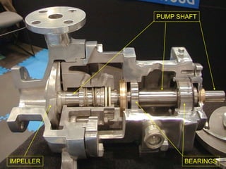 PUMP SHAFT
BEARINGS
IMPELLER
 
