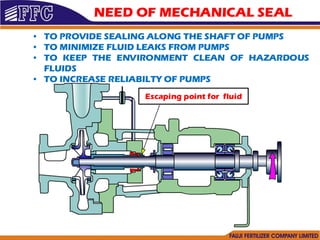 Mechanical Seal basic and advacned presentation | PDF