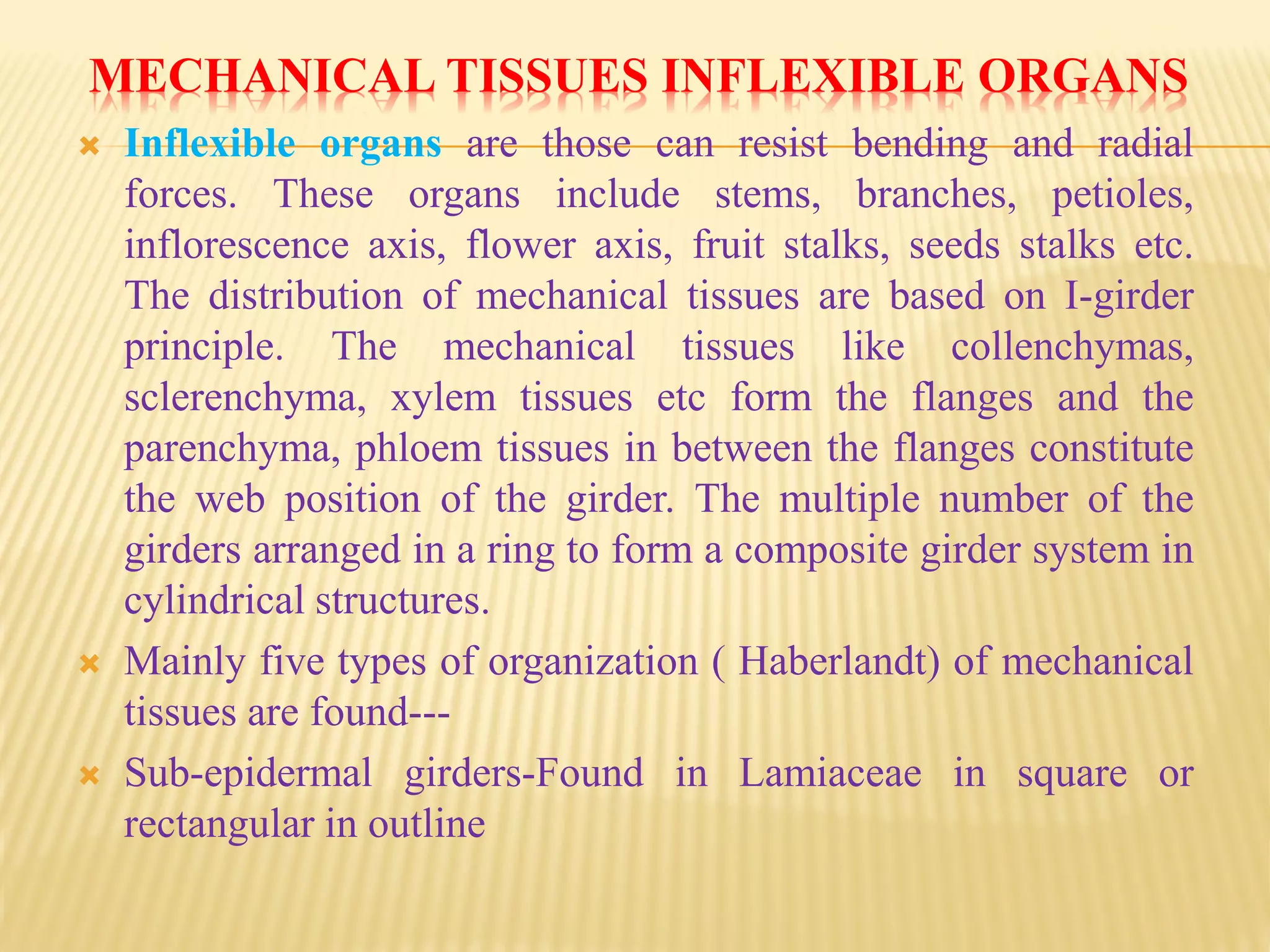 MECHANICAL TISSUES INFLEXIBLE ORGANS
 Inflexible organs are those can resist bending and radial
forces. These organs include stems, branches, petioles,
inflorescence axis, flower axis, fruit stalks, seeds stalks etc.
The distribution of mechanical tissues are based on I-girder
principle. The mechanical tissues like collenchymas,
sclerenchyma, xylem tissues etc form the flanges and the
parenchyma, phloem tissues in between the flanges constitute
the web position of the girder. The multiple number of the
girders arranged in a ring to form a composite girder system in
cylindrical structures.
 Mainly five types of organization ( Haberlandt) of mechanical
tissues are found---
 Sub-epidermal girders-Found in Lamiaceae in square or
rectangular in outline
 