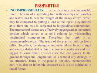 PROPERTIES
 INCOMPRESSIBILITY: It is the resistance to compressible
force. The axis of a spreading tree with its arrays of branches
and leaves has to bear the weight of the heavy crown, which
may be compared to putting a load at the top of a cylindrical
axis. Here the axis is subjected to longitudinal compression.
The mechanical tissues are effectively aggregated at the central
portion which serves as a solid column for withstanding
longitudinal compression. Therefore, the trunk is an
incompressible organ. The trunk of the plant is built on like a
pillar . In pillars, the strengthening material are found straight
and evenly distributed within the concrete materials and also
tagged to each other. This ensures the load passes to the
ground through the longitudinal axis without any damage to
the structure. Trunk in the plant is not only incompressible
part, it is also an inflexible structure as it is also subjected to
radial forces.
 