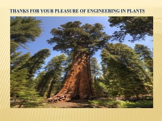 THANKS FOR YOUR PLEASURE OF ENGINEERING IN PLANTS
 