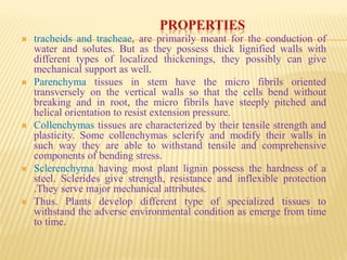 PROPERTIES
 tracheids and tracheae, are primarily meant for the conduction of
water and solutes. But as they possess thick lignified walls with
different types of localized thickenings, they possibly can give
mechanical support as well.
 Parenchyma tissues in stem have the micro fibrils oriented
transversely on the vertical walls so that the cells bend without
breaking and in root, the micro fibrils have steeply pitched and
helical orientation to resist extension pressure.
 Collenchymas tissues are characterized by their tensile strength and
plasticity. Some collenchymas sclerify and modify their walls in
such way they are able to withstand tensile and comprehensive
components of bending stress.
 Sclerenchyma having most plant lignin possess the hardness of a
steel. Sclerides give strength, resistance and inflexible protection
.They serve major mechanical attributes.
 Thus. Plants develop different type of specialized tissues to
withstand the adverse environmental condition as emerge from time
to time.
 