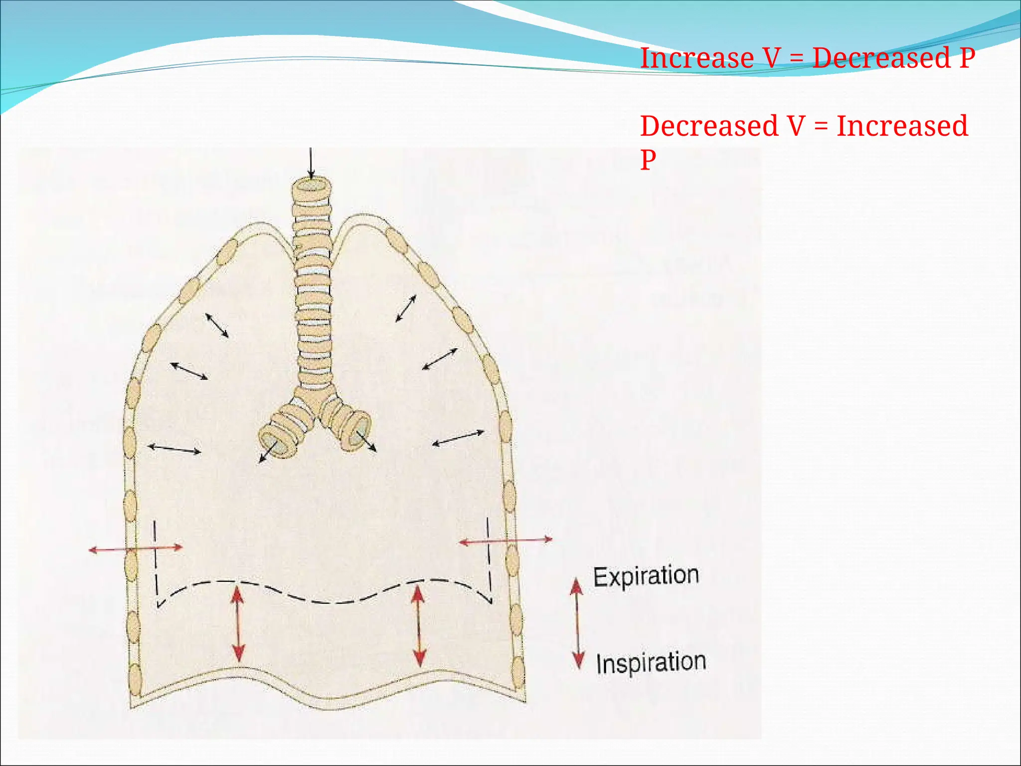 Increase V = Decreased P
Decreased V = Increased
P
 