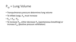 Ptp = Lung Volume
• Transpulmonary pressure determines lung volume
• To inflate lungs, Ptp must increase
• Ptp = Palv− Ppl
• To increase Ptp, either decrease Ppl (spontaneous breathing) or
increase Palv (positive pressure ventilation)
 