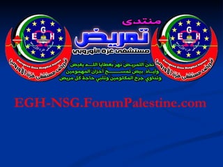 EGH-NSG.ForumPalestine.com 