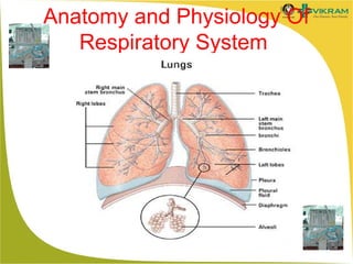 Anatomy and Physiology Of
Respiratory System

 