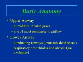 Basic Anatomy
• Upper Airway
– humidifies inhaled gases
– site of most resistance to airflow
• Lower Airway
– conducting airways (anatomic dead space)
– respiratory bronchioles and alveoli (gas
exchange)
 