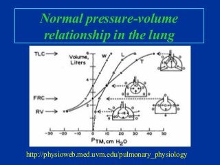 Normal pressure-volume
relationship in the lung
http://physioweb.med.uvm.edu/pulmonary_physiology
 