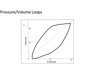 15 305
250
500
Pressure/Volume Loops
 