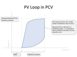 PV Loop in PCV
 