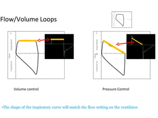 0
Flow/Volume Loops
•The shape of the inspiratory curve will match the flow setting on the ventilator.
Volume control Pressure Control
 