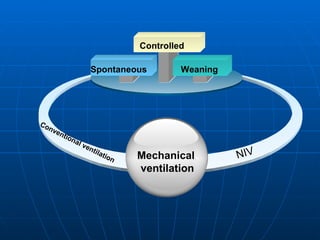 Spontaneous Weaning Controlled  Conventional ventilation NIV Mechanical  ventilation 