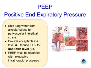 Peep Explained How to initiate mechanical ventilation in Emergency room? | PDF