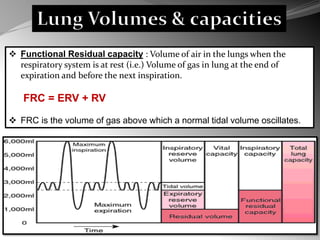 Normal Frc Basics of Neonatal Mechanical ventillation | PPSX