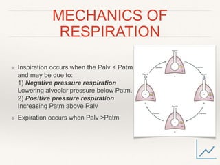 Pa Using Respiration Mechanics Of breathing and Transport of gases | PPT
