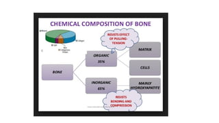 MECHANICS OF BONE and its properties (1).ppt