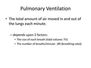 Pulmonary Ventilation
• The total amount of air moved in and out of
the lungs each minute.
– depends upon 2 factors:
• The size of each breath (tidal volume: TV)
• The number of breaths/minute : BR (breathing rate))
 