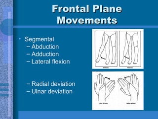 Comprehensive Guide to Mechanics of Movement and Body Planes | PPT