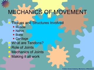 MECHANICS OF MOVEMENT <ul><li>Tissues and Structures Involved </li></ul><ul><ul><li>Muscle </li></ul></ul><ul><ul><li>Nerv...