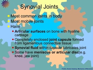 Synovial Joints <ul><li>Most common joints in body </li></ul><ul><li>Most mobile joints </li></ul><ul><li>Have </li></ul><...