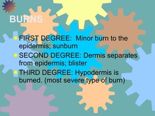 BURNS <ul><li>FIRST DEGREE:  Minor burn to the epidermis; sunburn </li></ul><ul><li>SECOND DEGREE: Dermis separates from e...